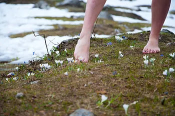 ¿Qué es hacer Grounding? ¿Qué beneficios tiene?
