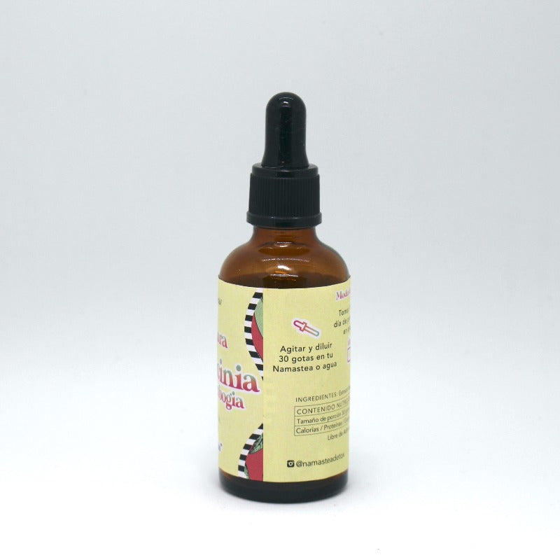 Tintura de Garcinia Cambogia