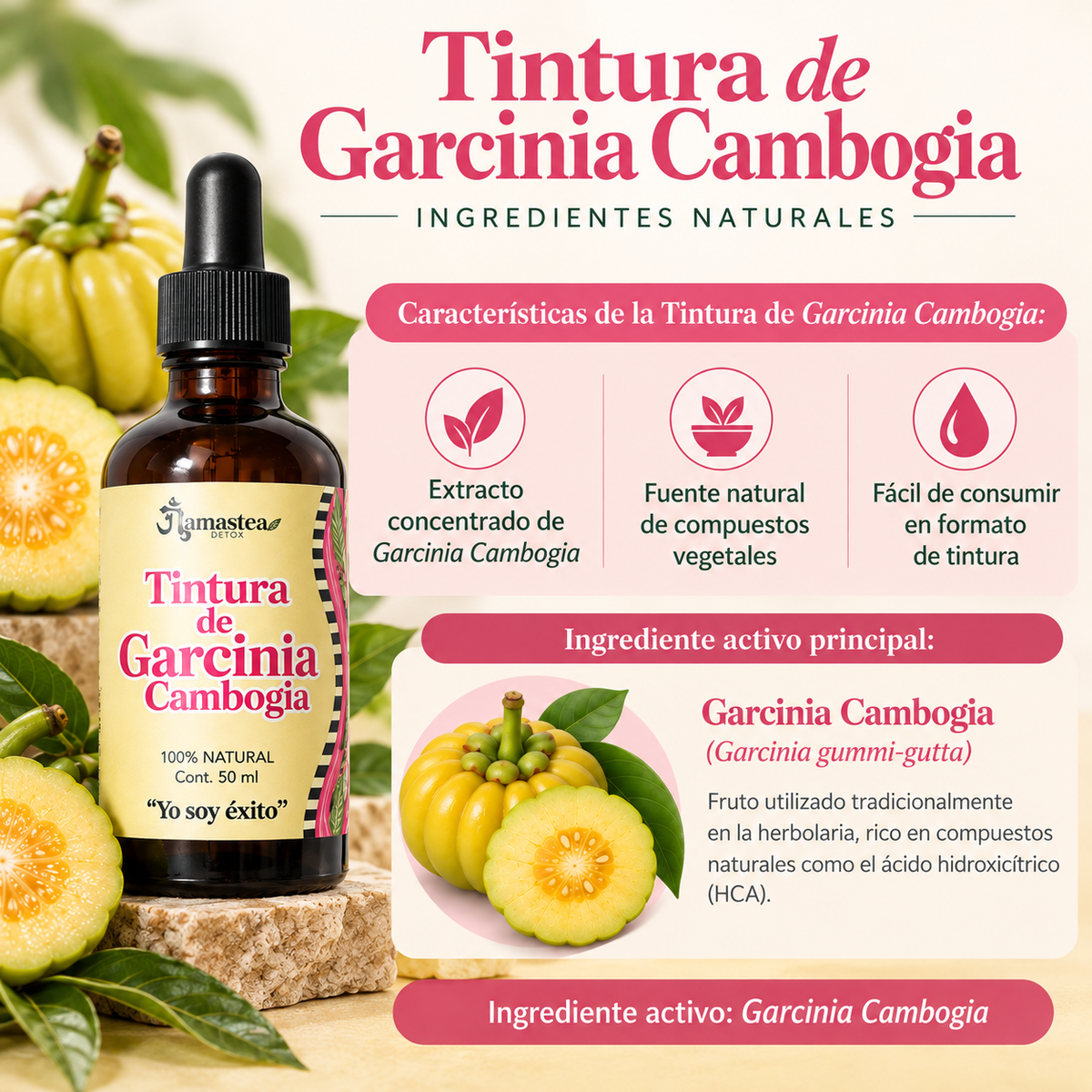 Kit Skinny | Programa Herbal de 21 Días