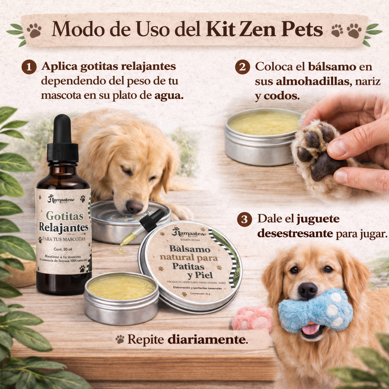 Modo de uso Zen Kit: aplicar bálsamo y administrar tintura según indicaciones